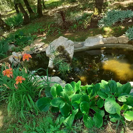 Julia Panzió Seget (Umag)