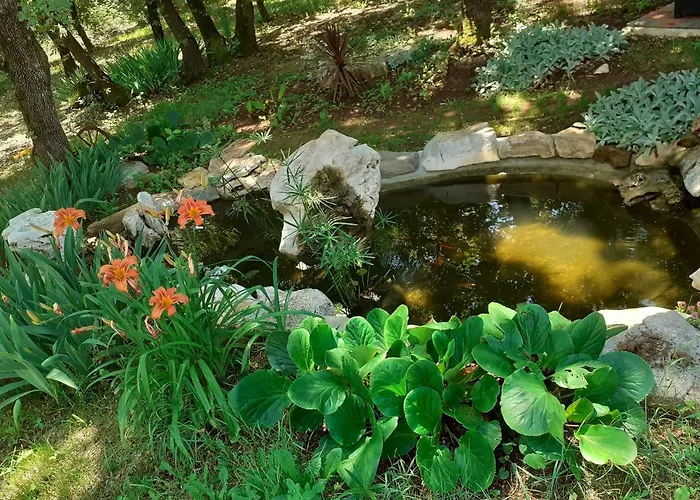 Julia Bed and breakfast Seget (Umag)